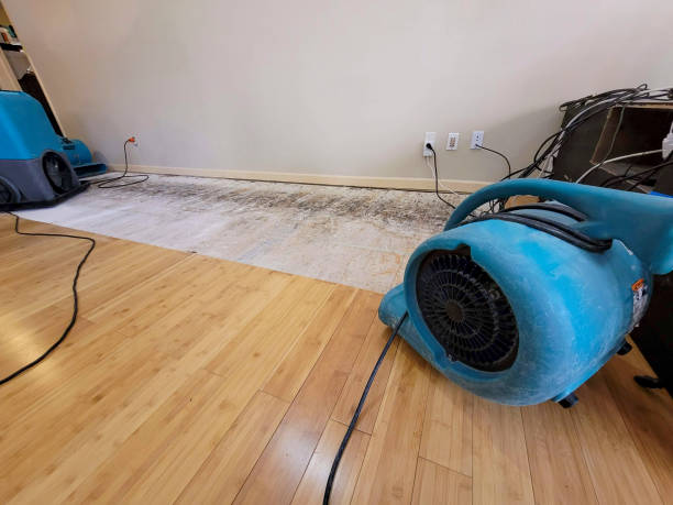Professional Sewage Cleanup technician working in Liberty, SC